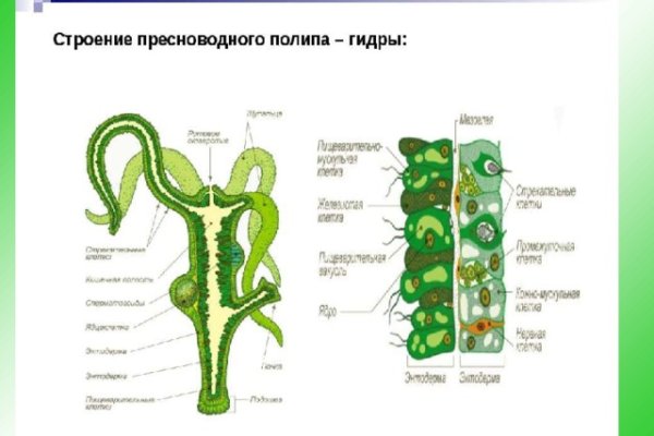 Кракен сайт как выглядит