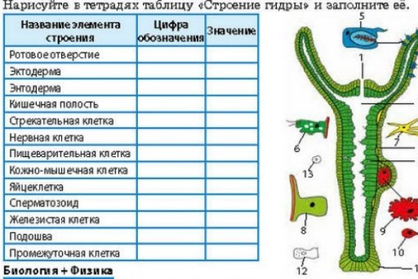 Кракен маркетплейс ссылка телеграмм