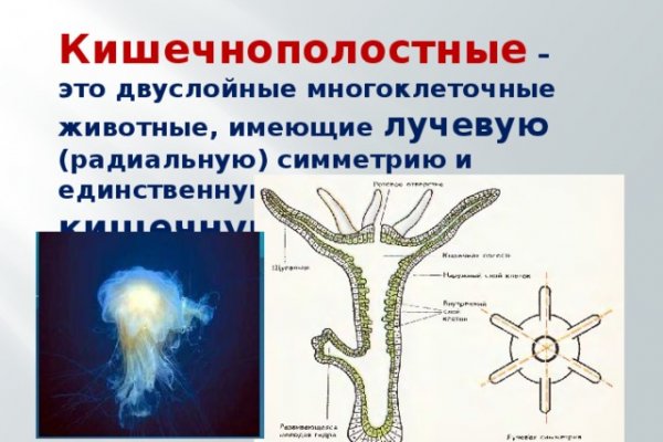 Ссылка на кракен в тор браузере